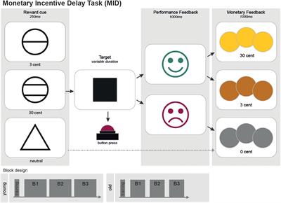 Still Wanting to Win: Reward System Stability in Healthy Aging